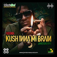 AIDONIA - KUSH INNA MI BRAIN RMX